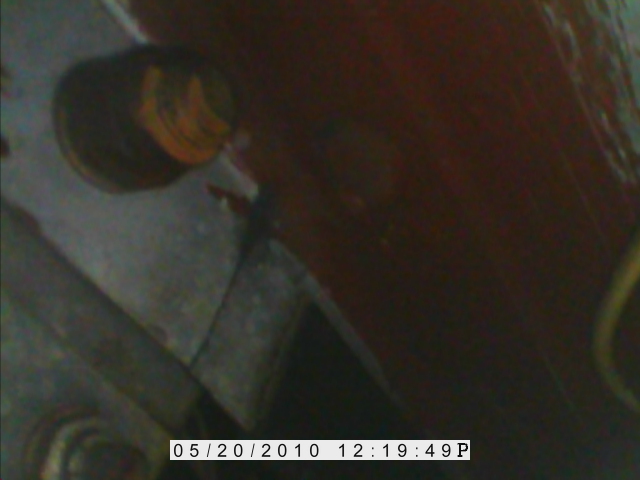 1219491J.JPG