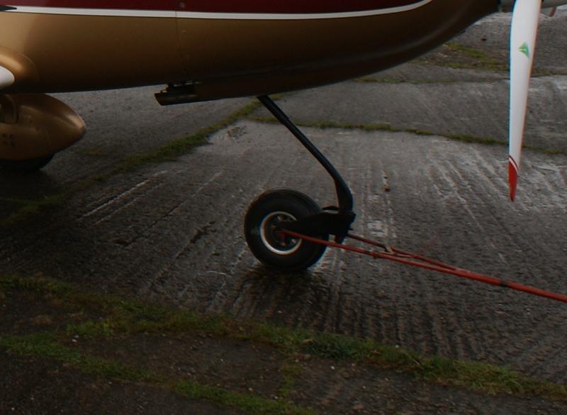Nose_Leg_Close-up.jpg