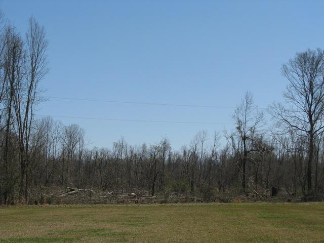 IMG_1631.JPG