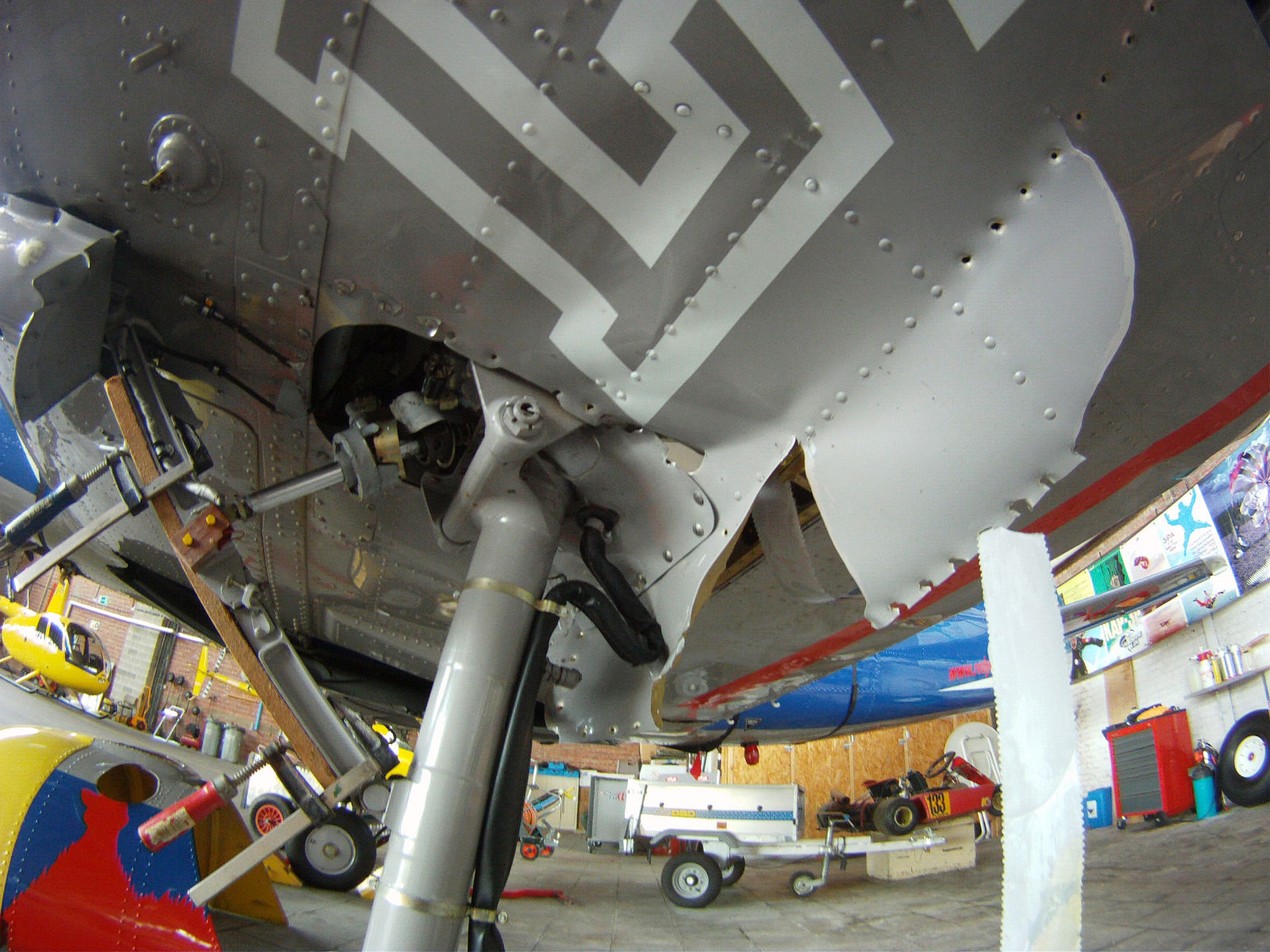 LY-OLI Yak-52 June 2011(11).JPG