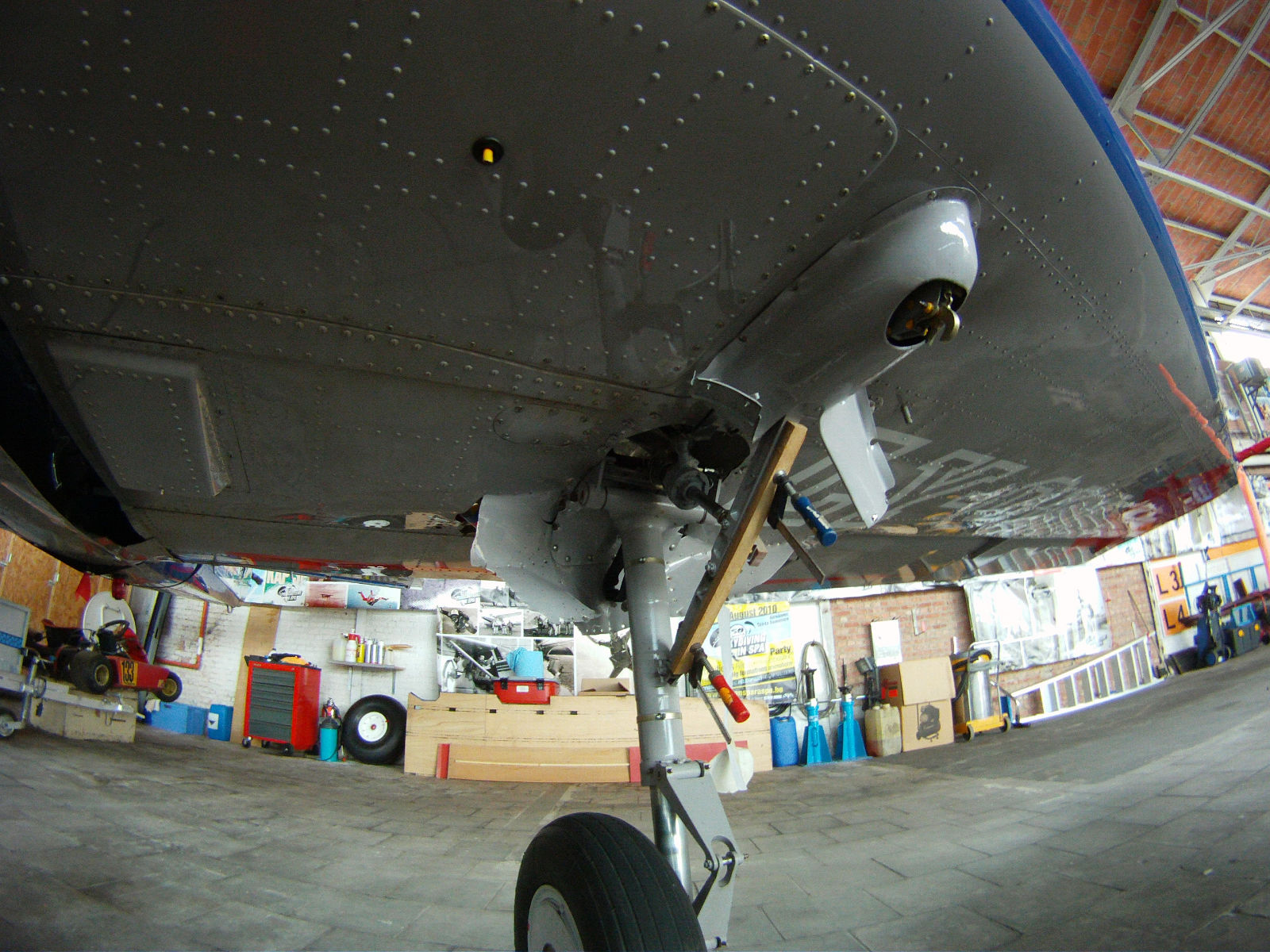 LY-OLI Yak-52 June 2011 (13).JPG