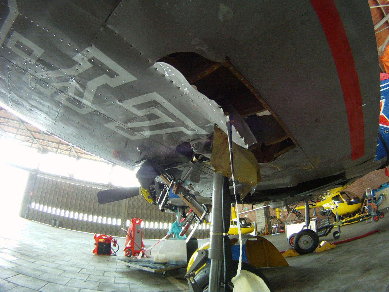 LY-OLI Yak-52 June 2011 (9).JPG