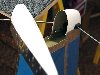 2008.08.09_-_RV-8_Tail_Kit_-_Rudder_And_Fin_Fiberglass_Tips_(8).jpg
