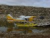 DSC00510.jpg