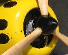 IMG_2516.JPG