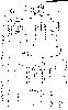 NSI_Ignition_Schematic.jpg